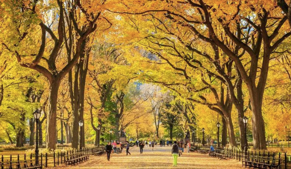 Vista do Outono em Nova York.