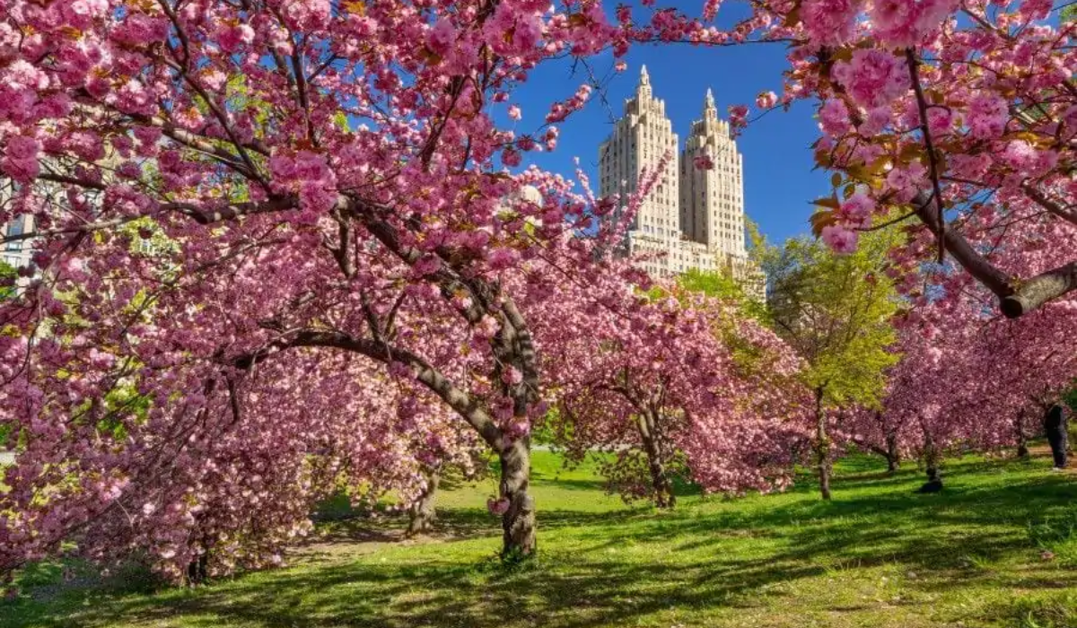 Cidade de Nova York/Na primavera