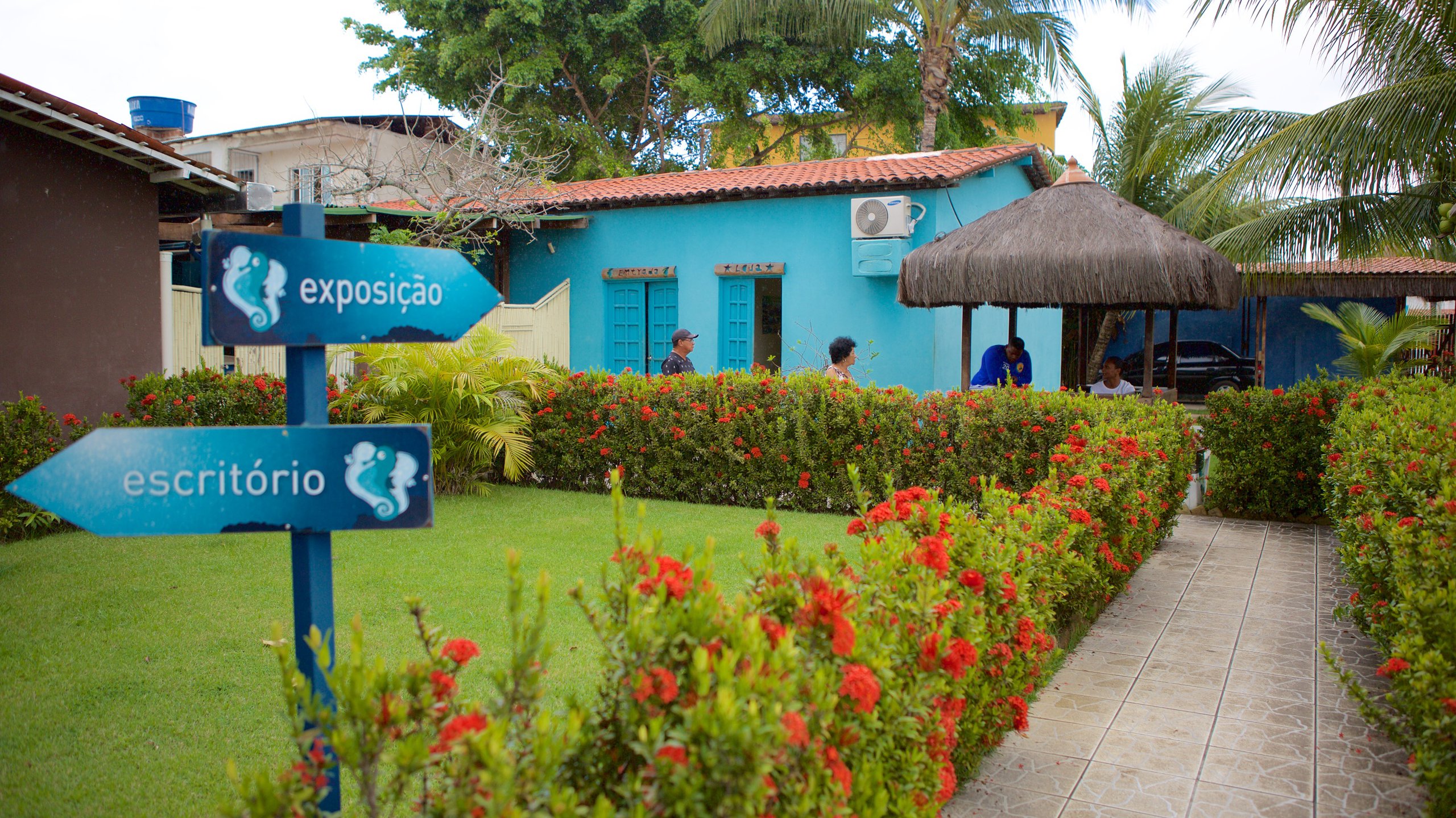 Imagem do Projeto Hippocampus, Porto de Galinhas.