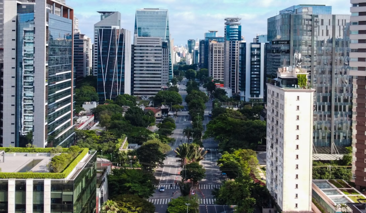 Cidade de São Paulo-A maior e mais importante cidade do Brasil